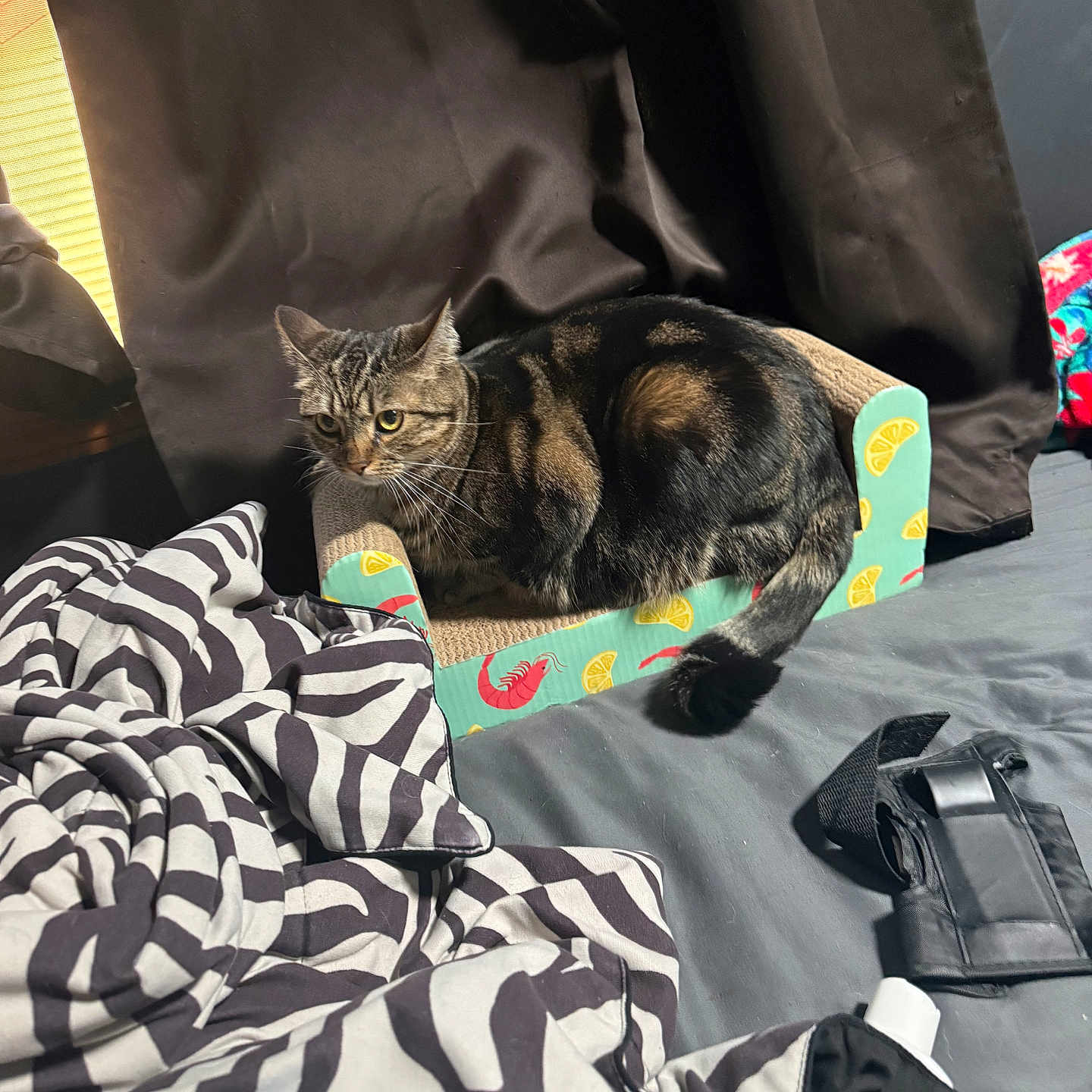 Snickers