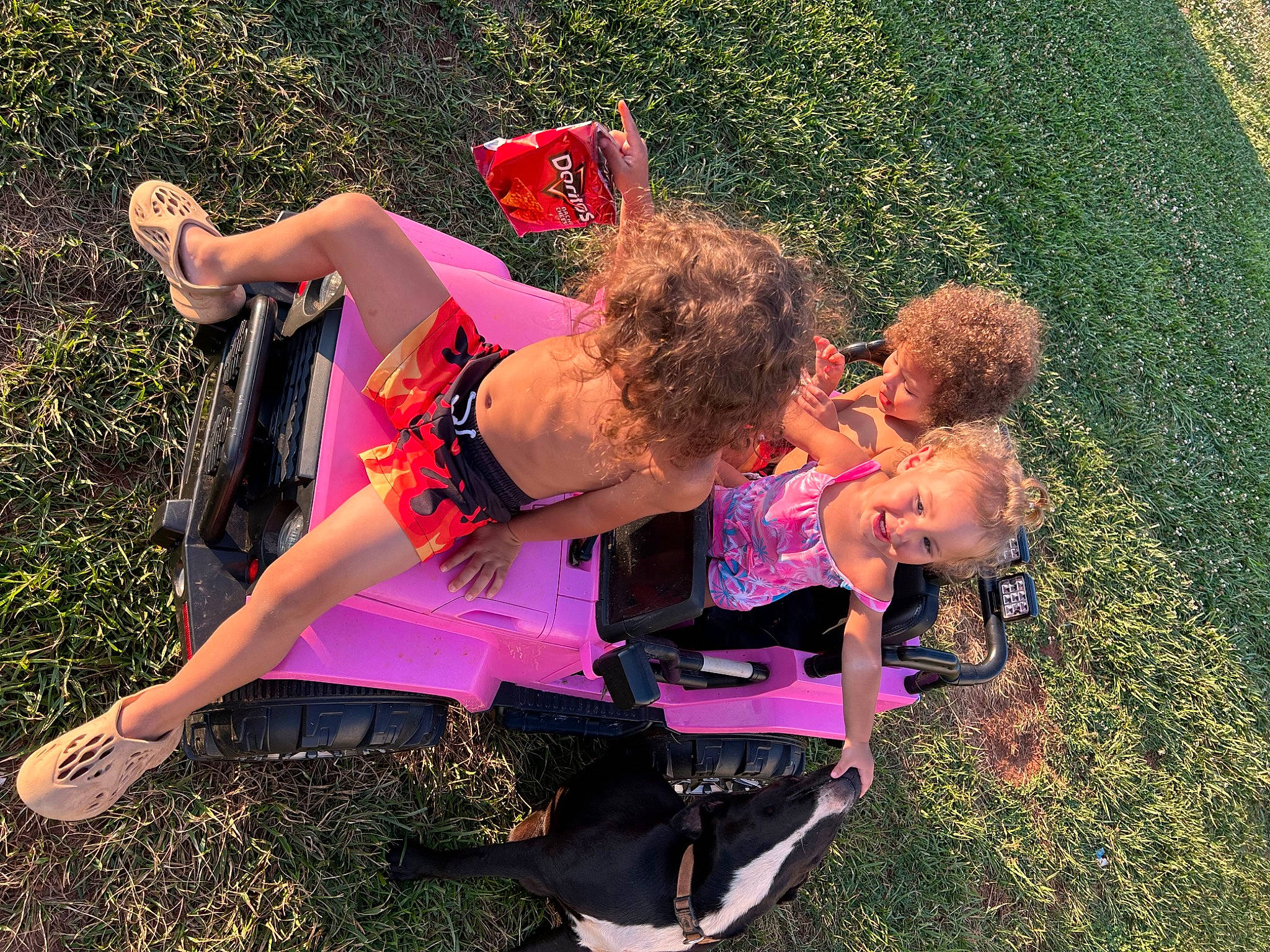 Zelena joined the competition — help win amazing prizes! event, eyewear, fun, grass, grassland, happy, human_leg, landscape, lawn, leisure, magenta, meadow, people_in_nature, person, pink, plant, recreation, shoe, shorts, thigh