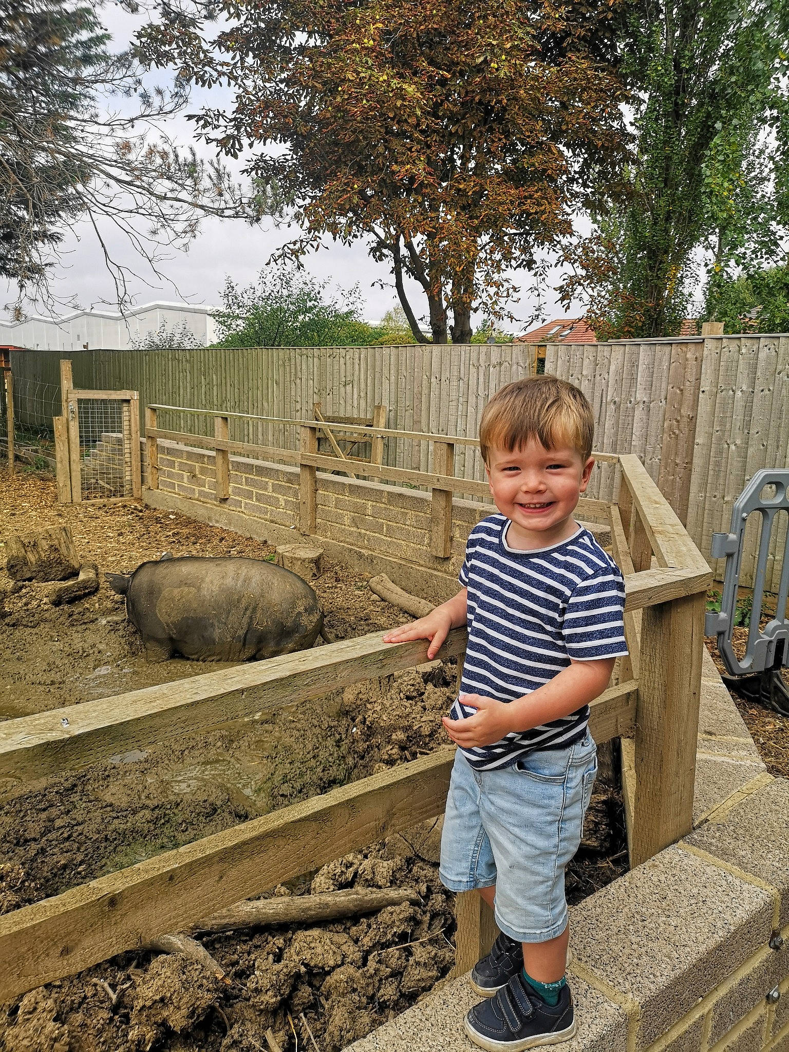 Callum joined the competition — help win amazing prizes! child, fence, fun, grass, home_fencing, joy, landscape, leisure, pattern, person, plant, shorts, smile, soil, t_shirt, terrestrial_animal, toddler, tree, wood, working_animal