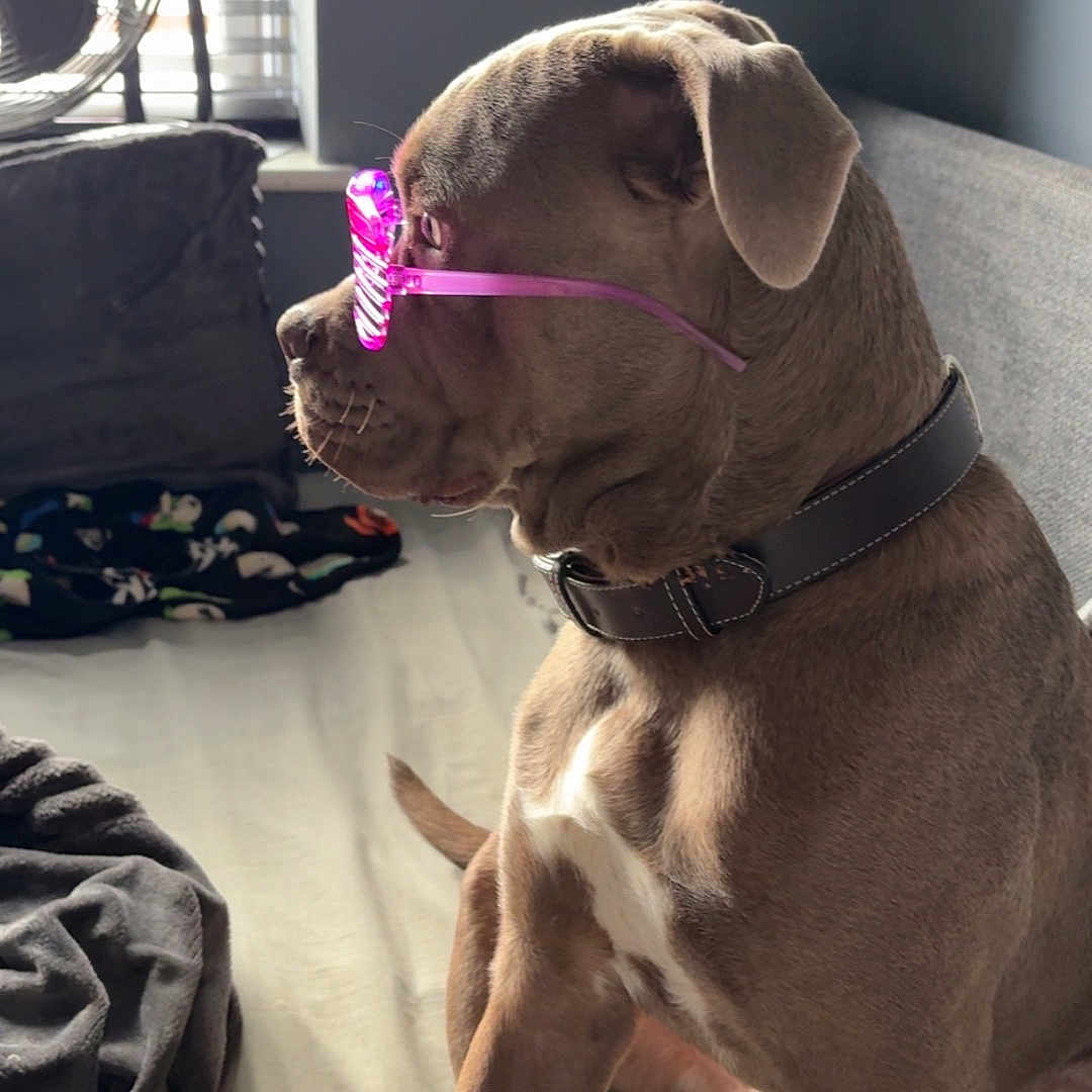 Hugo