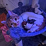 cat, orange_cat, white_cat, cat_tree, plush_toy, bird_toy, llama_plush, string, purple_lighting, cozy, indoor, pet, relaxed, feline, cat_hammock, floor, furniture, toy, playful, animal