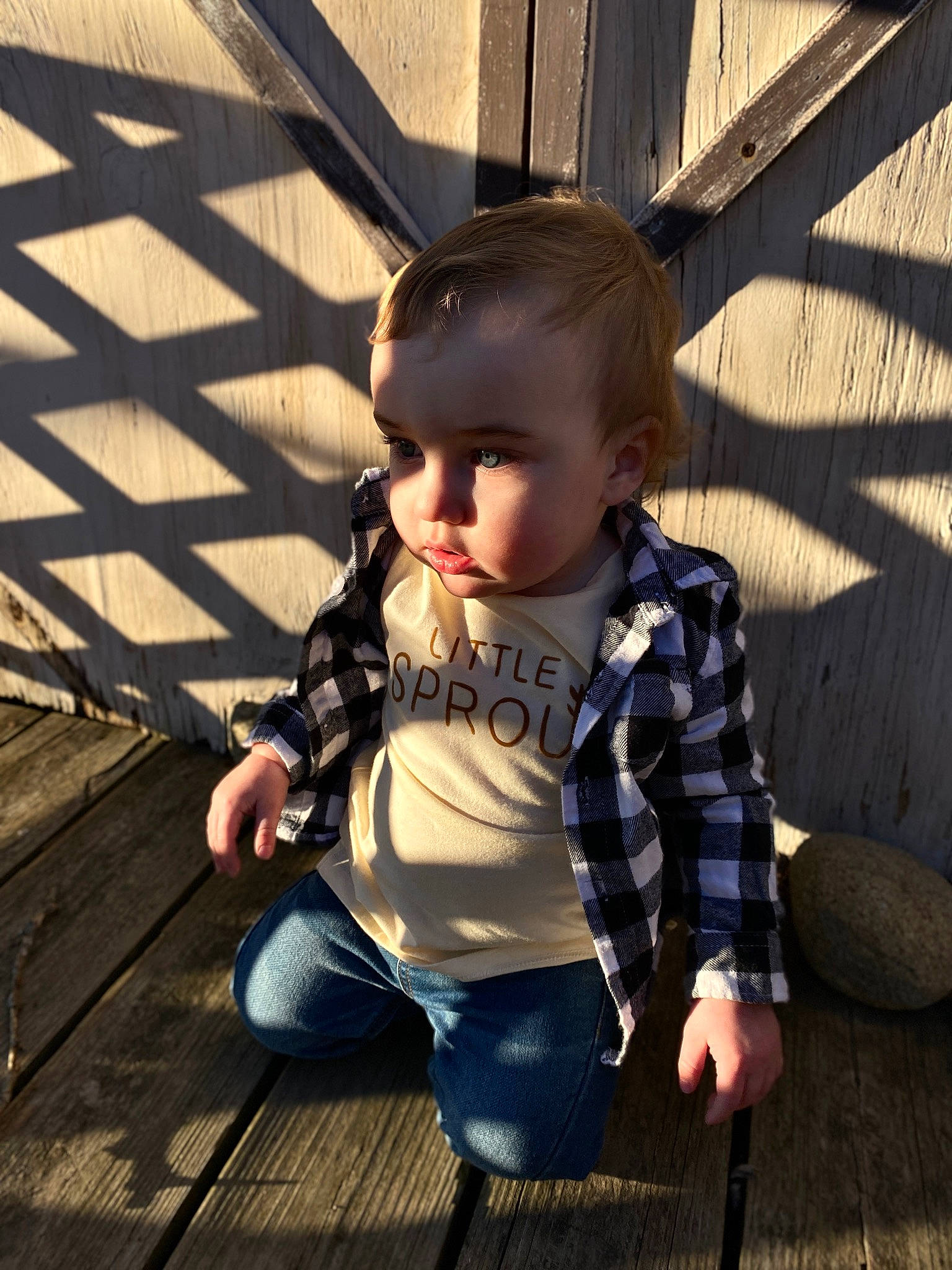 Ronan Andrew is registered to the contest to win money with this photo: baby, baby_toddler_clothing, child, fun, grass, hairstyle, happy, leisure, morning, pattern, person, public_space, shade, sitting, skin, sunlight, t_shirt, tints_and_shades, toddler, wood