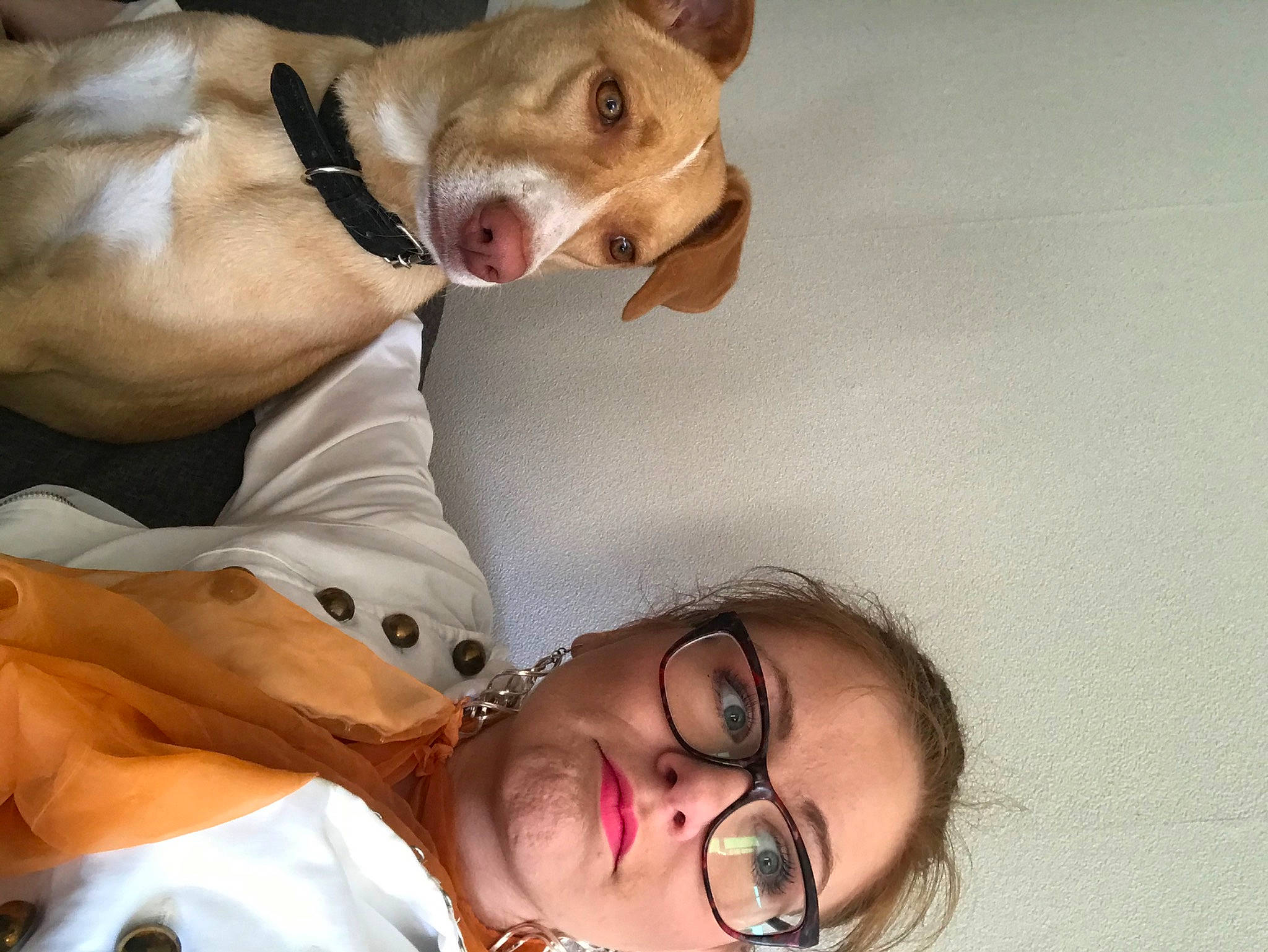 Cannelle a rejoint le concours — aidez-le/la à gagner de superbes lots ! canidae, carnivore, cheek, companion_dog, dog, dog_breed, ear, eye, face, facial_expression, head, mouth, nose, organ, photography, puppy_love, selfie, smile, snout, sporting_group