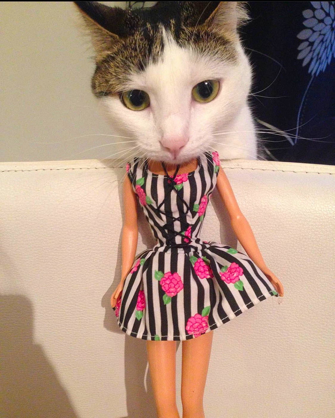 Minnie a rejoint le concours — aidez-le/la à gagner de superbes lots ! abyssinian, animal, barbie, cat, child, clothing, doll, dress, face, female, figurine, formalwear, girl, head, kitten, person, pet, photography, portrait, toy