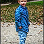 child, boy, standing, blue_shirt, jeans, white_shoes, outdoor, autumn, leaves, path, grass, tree_trunk, casual_clothing, curious_expression, nature, daylight, park, young, person, portrait