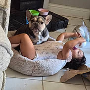 Annalise is registered to the contest to win money with this photo: child, toddler, baby, french_bulldog, dog, pet, indoor, sitting, lying_down, bottle, toy, pet_bed, animal, portrait, home, tile_floor, colorful_bowls, casual, playful, funny