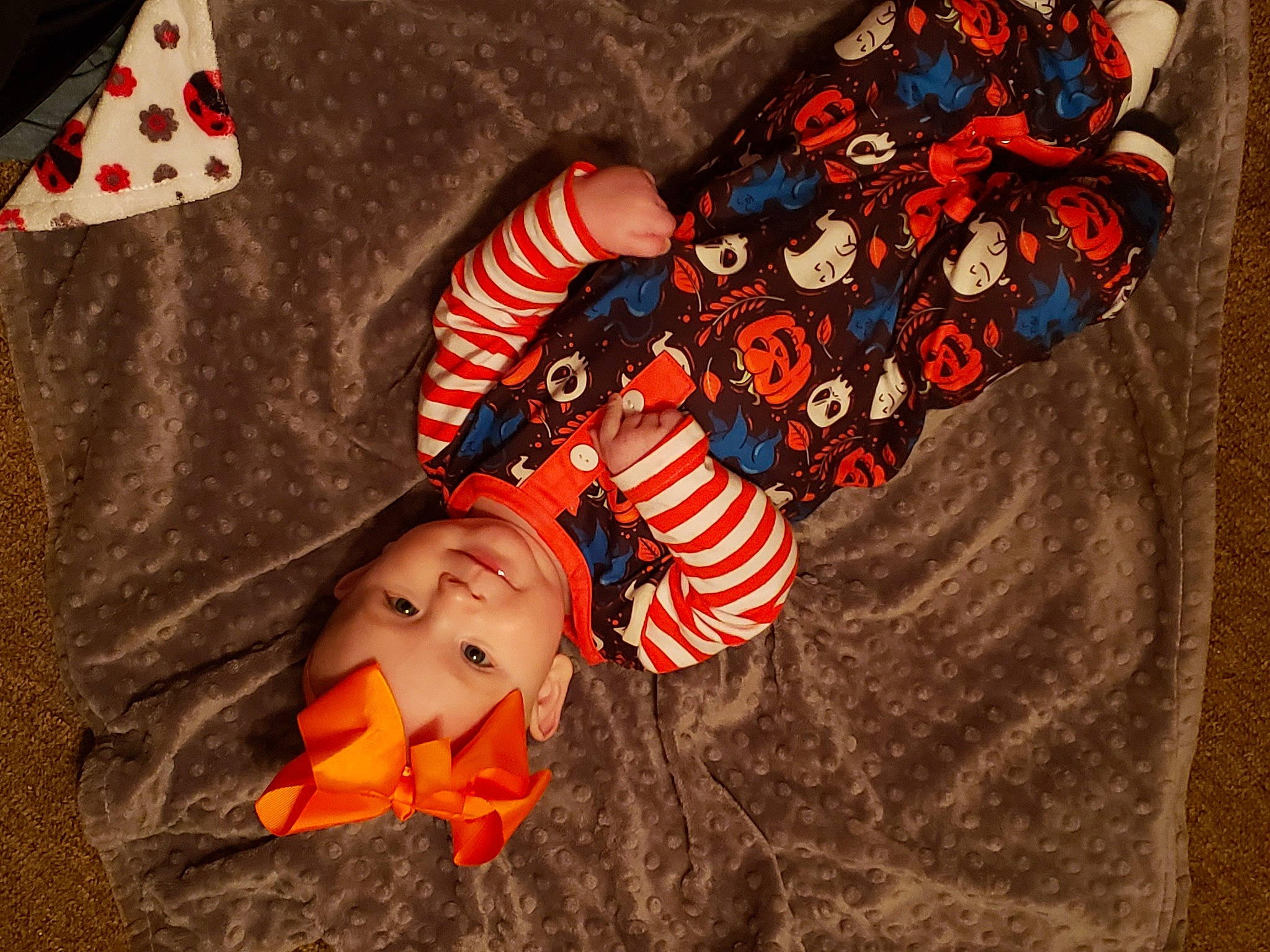 Addie joined the competition — help win amazing prizes! carmine, costume_hat, event, fun, happy, hat, headwear, holiday, human_body, human_leg, leaf, mammal, nail, orange, pattern, person, red, sleeve, textile, toddler