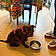 Aïka