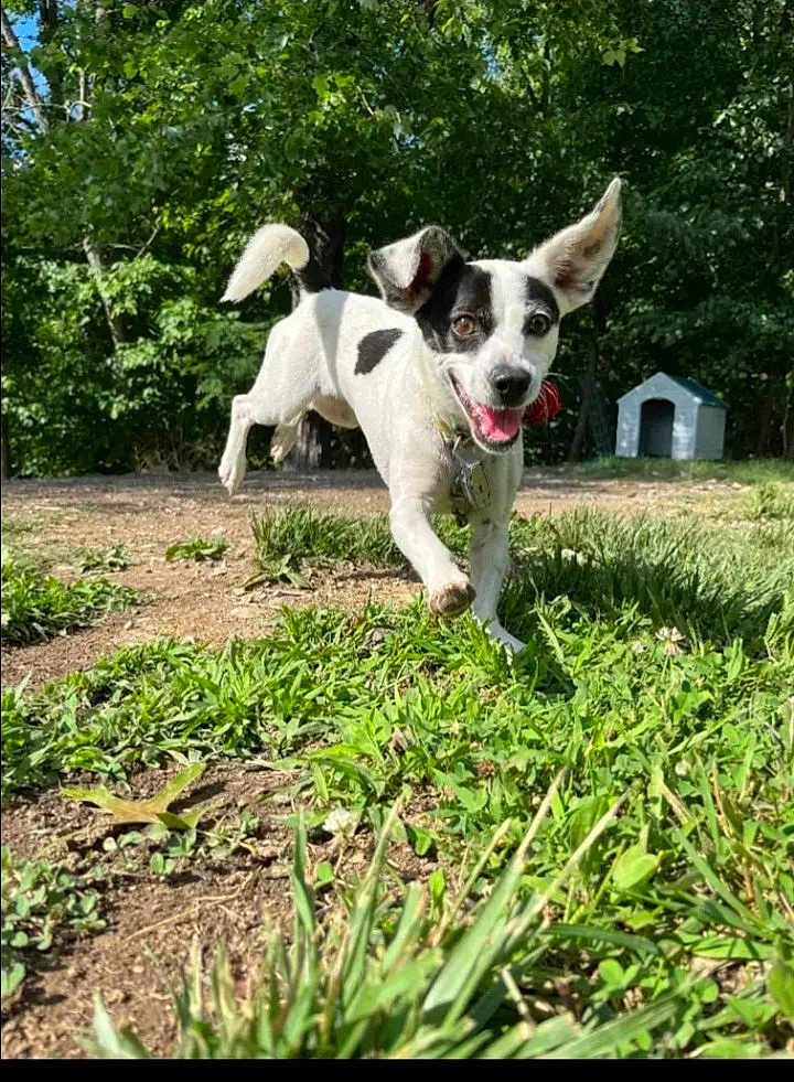 Sammie