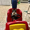 Venus is registered to the contest to win money with this photo: kitten, toy_car, indoor, floor_tiles, living_room, couch, door, basket, steering_wheel, pet, cat, playful, furniture, animal, cute, small, colorful, toy, floor, curious
