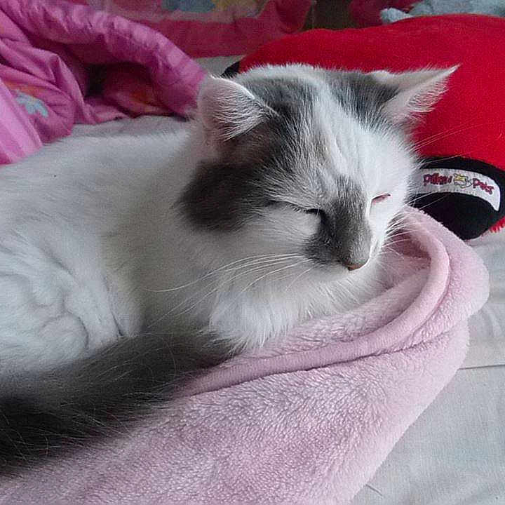 Precious