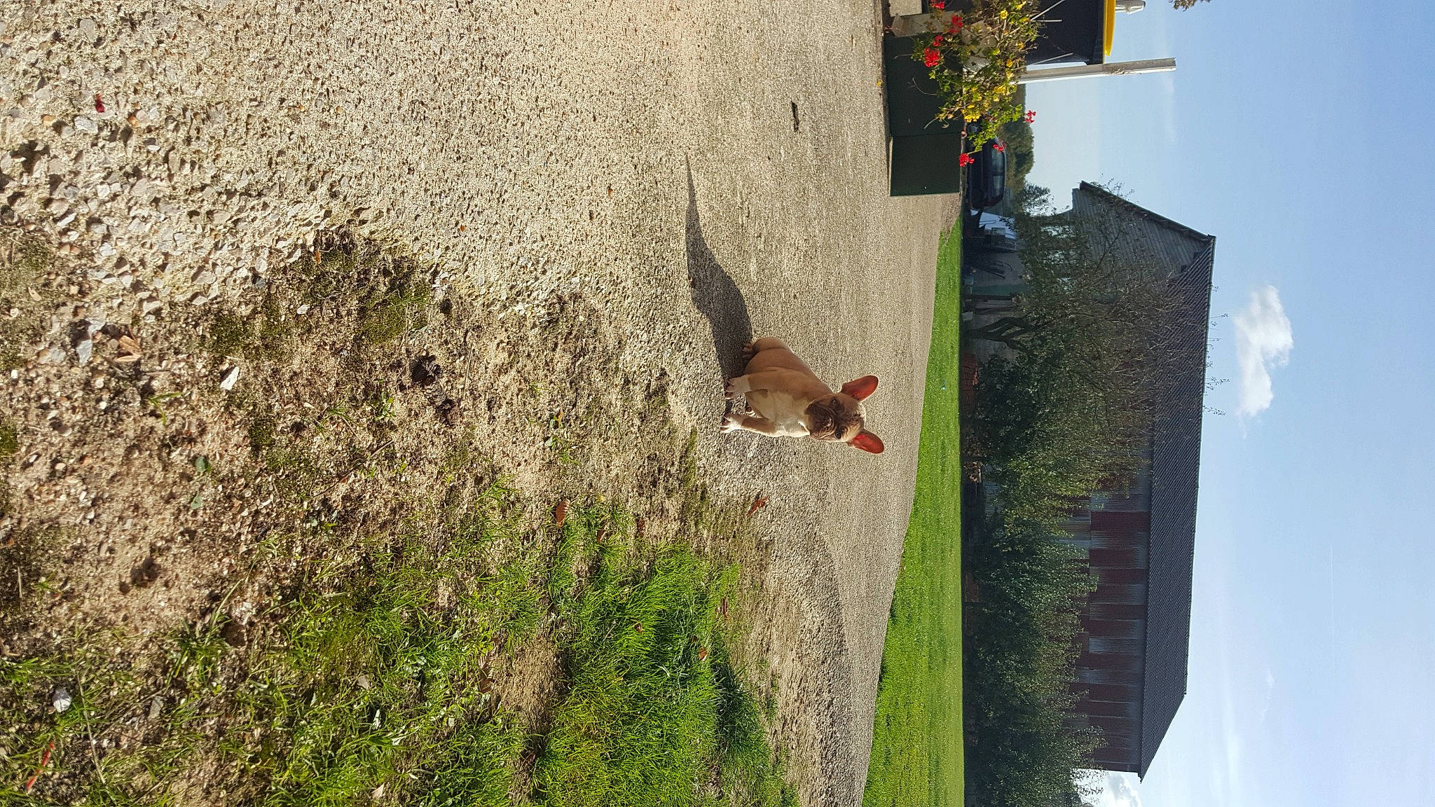 Sakumi participe au concours pour gagner de l'argent avec cette photo : adventure, art, biome, building, cloud, door, facade, grass, grass_family, house, landscape, leaf, leisure, plant, sky, slope, tree, vegetation, window, wood
