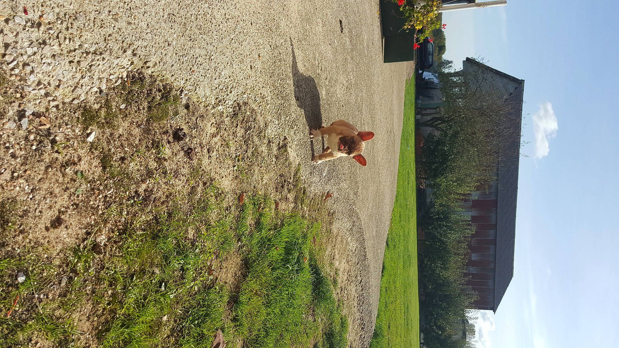 Sakumi a rejoint le concours — aidez-le/la à gagner de superbes lots ! adventure, biome, building, cloud, extreme_sport, fun, grass, landscape, leisure, line, plant, recreation, sky, slope, sport_climbing, sports_equipment, tree, vegetation, wall, wood