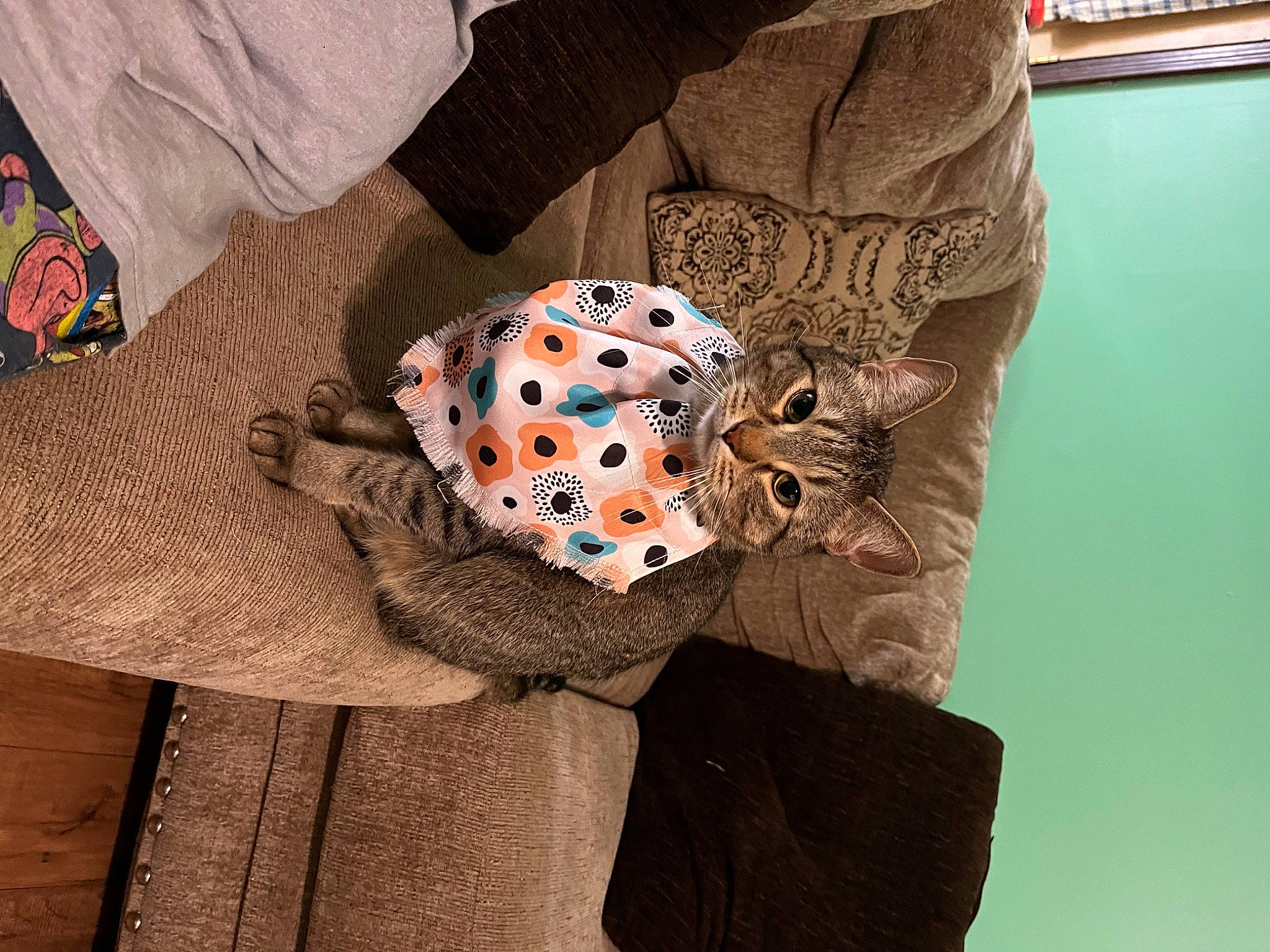 Cole is registered to the contest to win money with this photo: baby_toddler_clothing, bag, circle, collar, comfort, day_dress, denim, electric_blue, fashion_accessory, fur, home_accessories, linens, pattern, sleeve, t_shirt, textile, visual_arts, waist, wrist