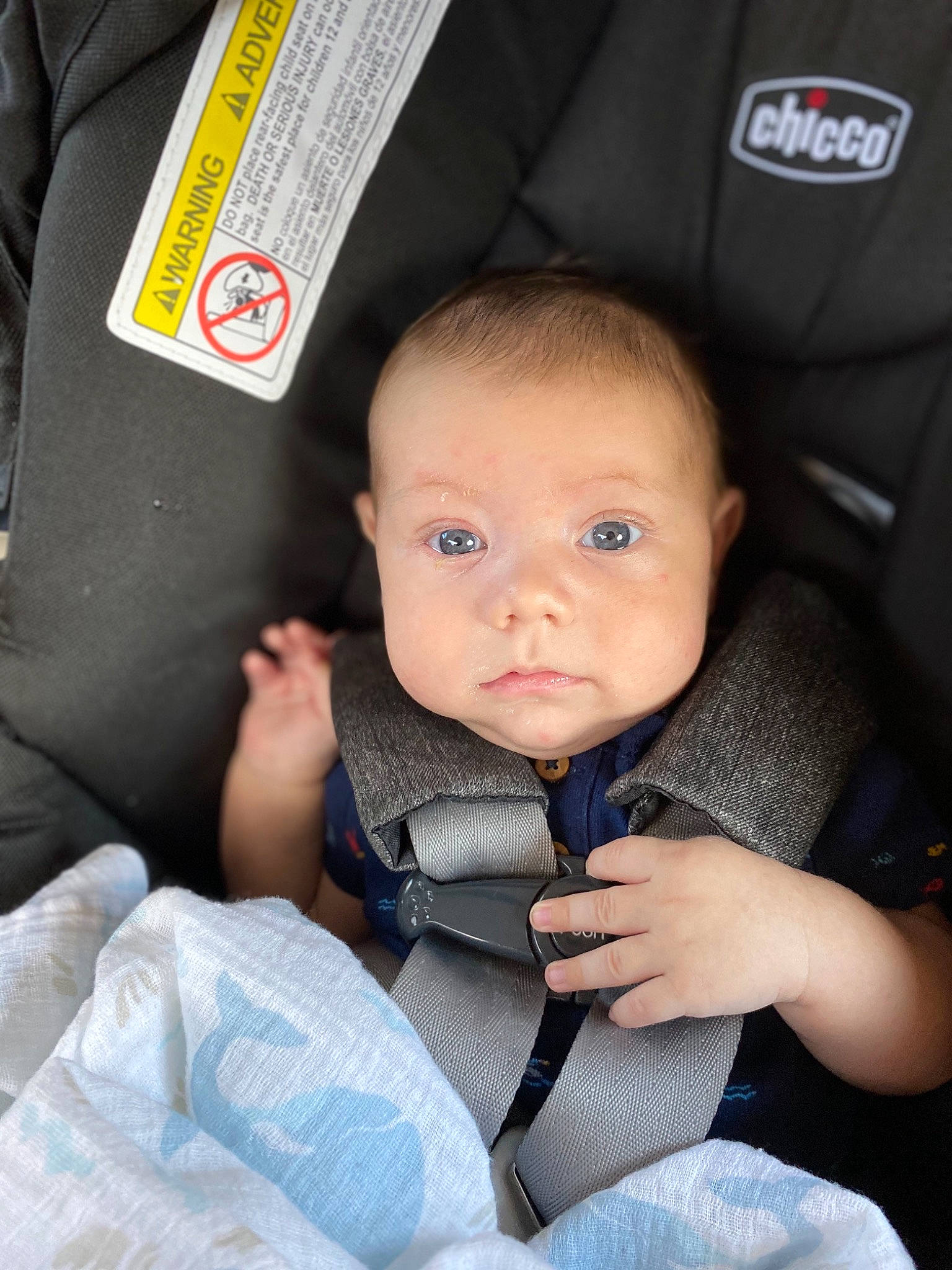 Brendan is registered to the contest to win money with this photo: auto_part, baby, baby_carriage, baby_in_car_seat, baby_products, car_seat, child, person, product, seat_belt, sitting, toddler