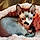 Smudge