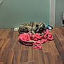 Remy is registered to the contest to win money with this photo: dog, sleeping, blanket, wooden_floor, indoor, brindle, pet, cozy, resting, quiet, floor_vent, corner, relaxed, animal, canine, home, domestic, fur, calm, snuggled