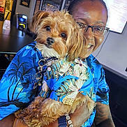 Gotham Wayne is registered to the contest to win money with this photo: person, dog, glasses, blue_shirt, tattoo, bracelet, watch, indoor, table, television, framed_picture, smiling, holding, pet, fur, cute, matching_outfits, collar, happy, portrait