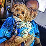 person, dog, glasses, blue_shirt, tattoo, bracelet, watch, indoor, table, television, framed_picture, smiling, holding, pet, fur, cute, matching_outfits, collar, happy, portrait