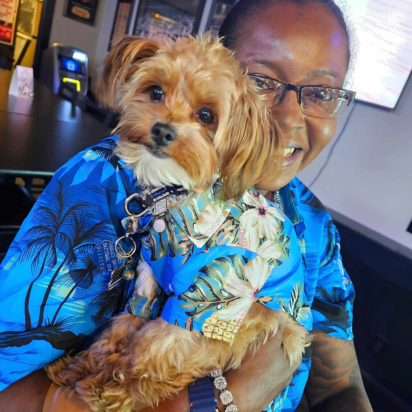 Gotham Wayne is registered to the contest to win money with this photo: blue_shirt, bracelet, collar, cute, dog, framed_picture, fur, glasses, happy, holding, indoor, matching_outfits, person, pet, portrait, smiling, table, tattoo, television, watch