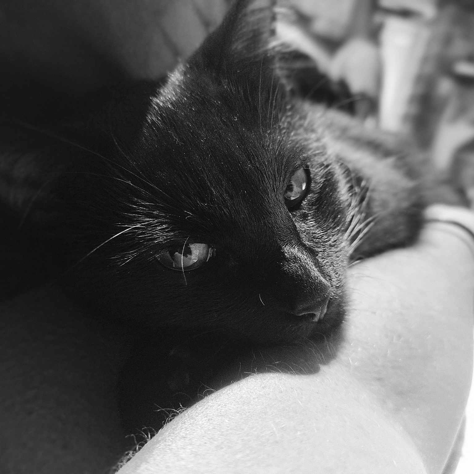 Tyra
