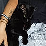 animal, black_cat, bracelets, cat, close_up, cozy, feline, fluffy, fur, graphic_shirt, green_eyes, human_arm, indoors, lying_down, paws, pet, relaxed, sleepy, tattoo, whiskers