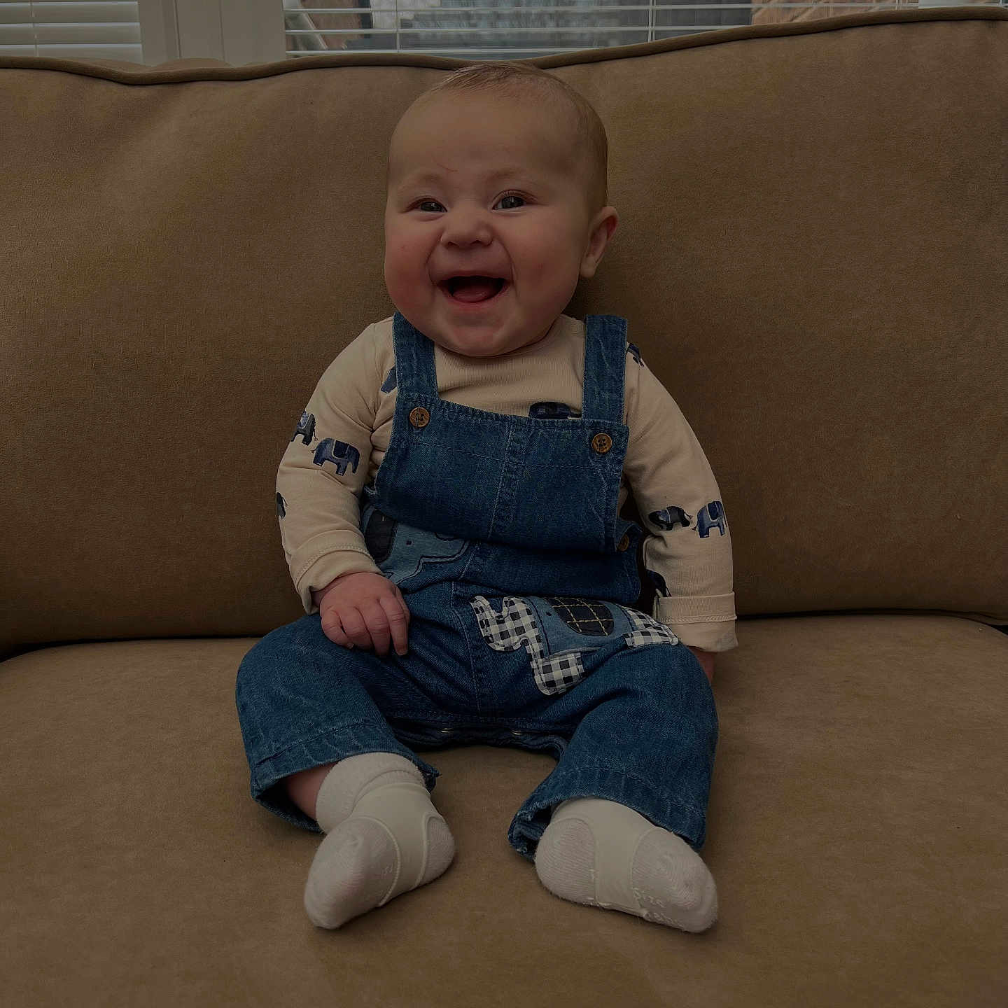 Elijah is registered to the contest to win money with this photo: baby, blinds, child, clothing, couch, cute, denim_overalls, elephant_pattern, face, footwear, happy, indoor, infant, person, portrait, sitting, smiling, white_socks, window, young_child