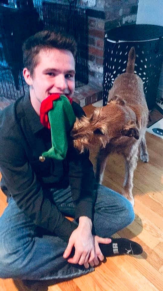 Samoset joined the competition — help win amazing prizes! airedale_terrier, canidae, carnivore, companion_dog, dog, dog_breed, fawn, fox_terrier, irish_terrier, selfie