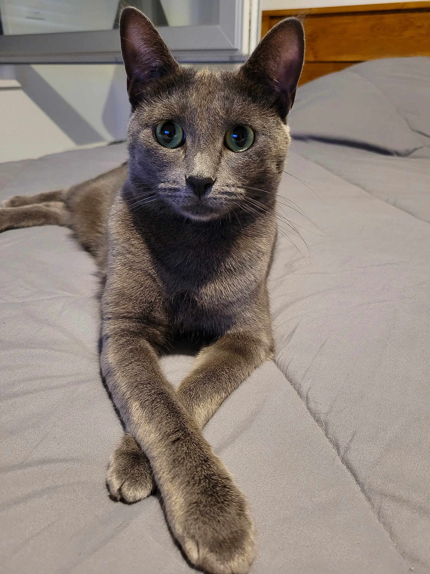 Skylie