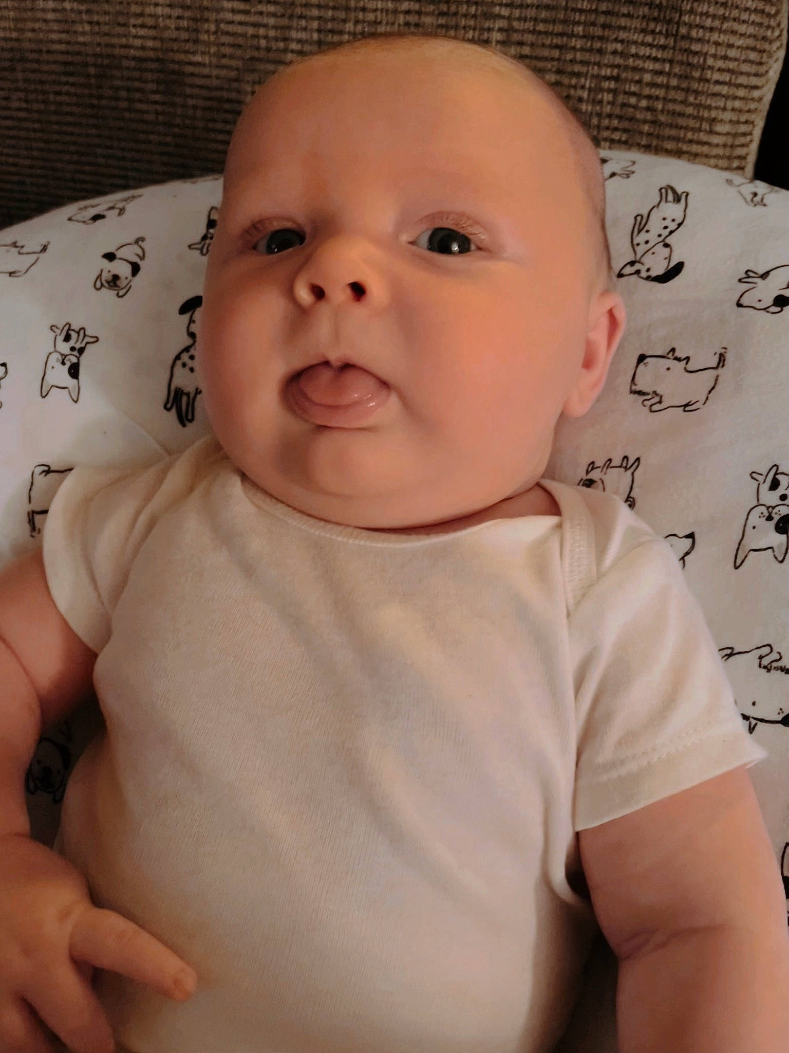 Alaric is registered to the contest to win money with this photo: baby, baby_toddler_clothing, cheek, chest, child, comfort, eyebrow, eyelash, face, happy, iris, lip, mouth, neck, nose, person, sitting, skin, sleeve, t_shirt