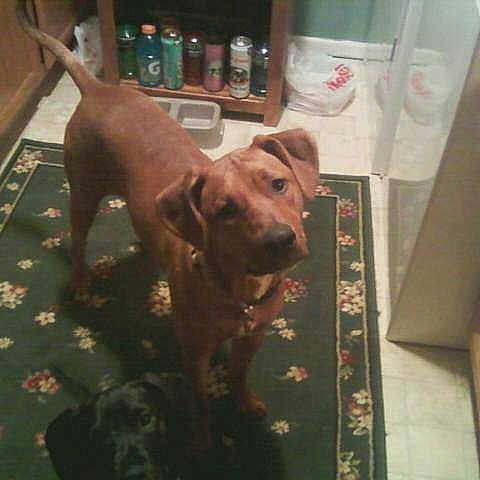 Jade is registered to the contest to win money with this photo: