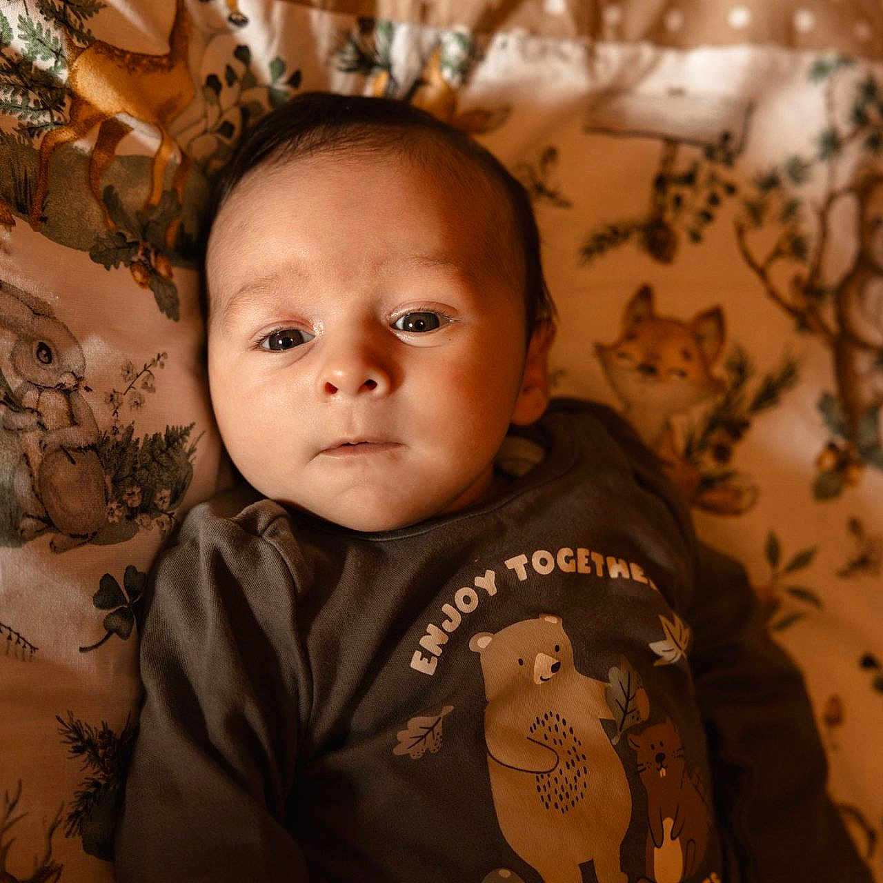 Louis participe au concours pour gagner de l'argent avec cette photo : animal_print, baby, bear, blanket, child, clothing, cute, deer, face, fox, indoors, infant, nature_theme, portrait, rabbit, sleepwear, soft_lighting, squirrel, toddler, woodland