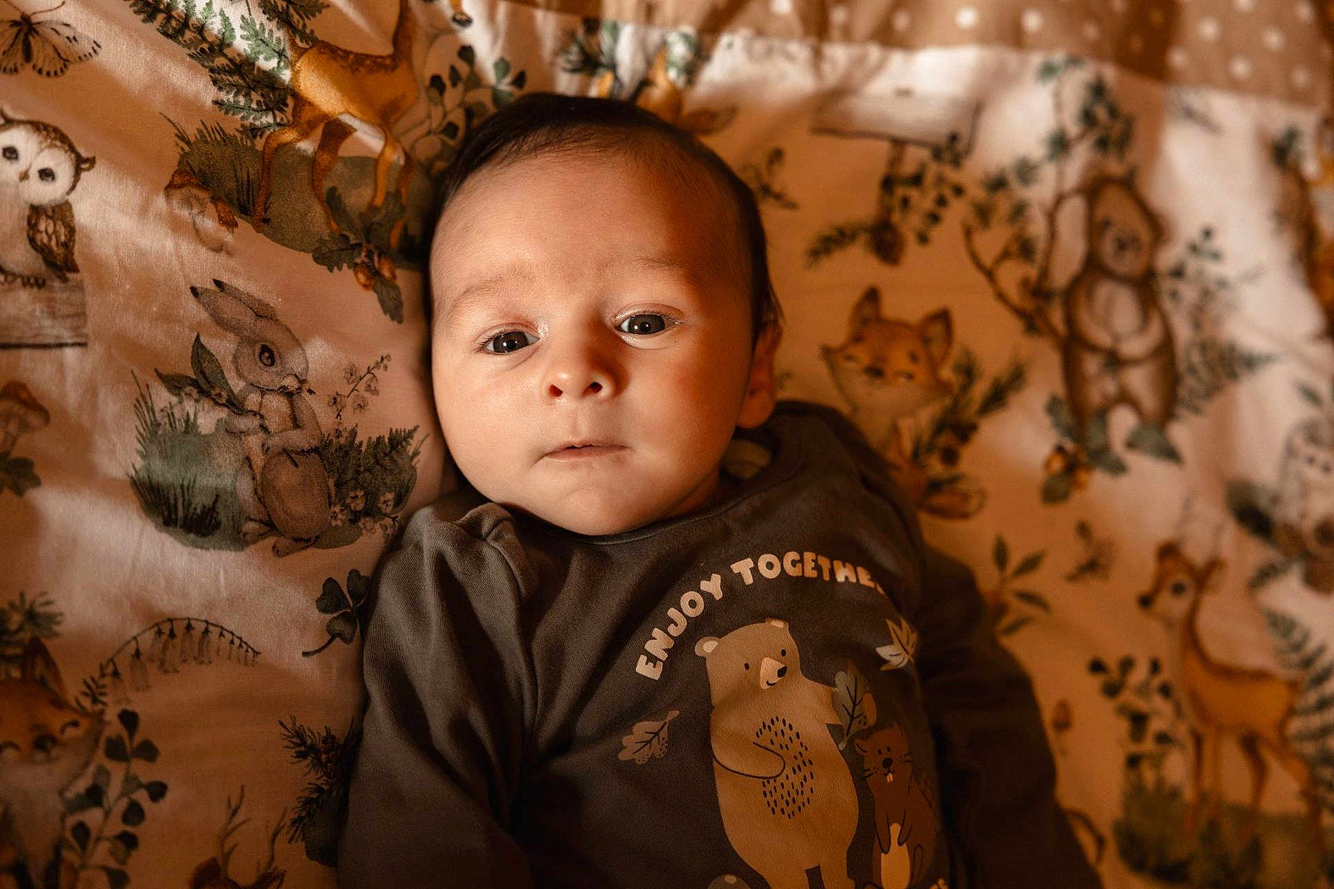 Louis participe au concours pour gagner de l'argent avec cette photo : baby, infant, face, blanket, animal_print, clothing, bear, squirrel, fox, rabbit, deer, cute, portrait, child, toddler, sleepwear, woodland, nature_theme, soft_lighting, indoors