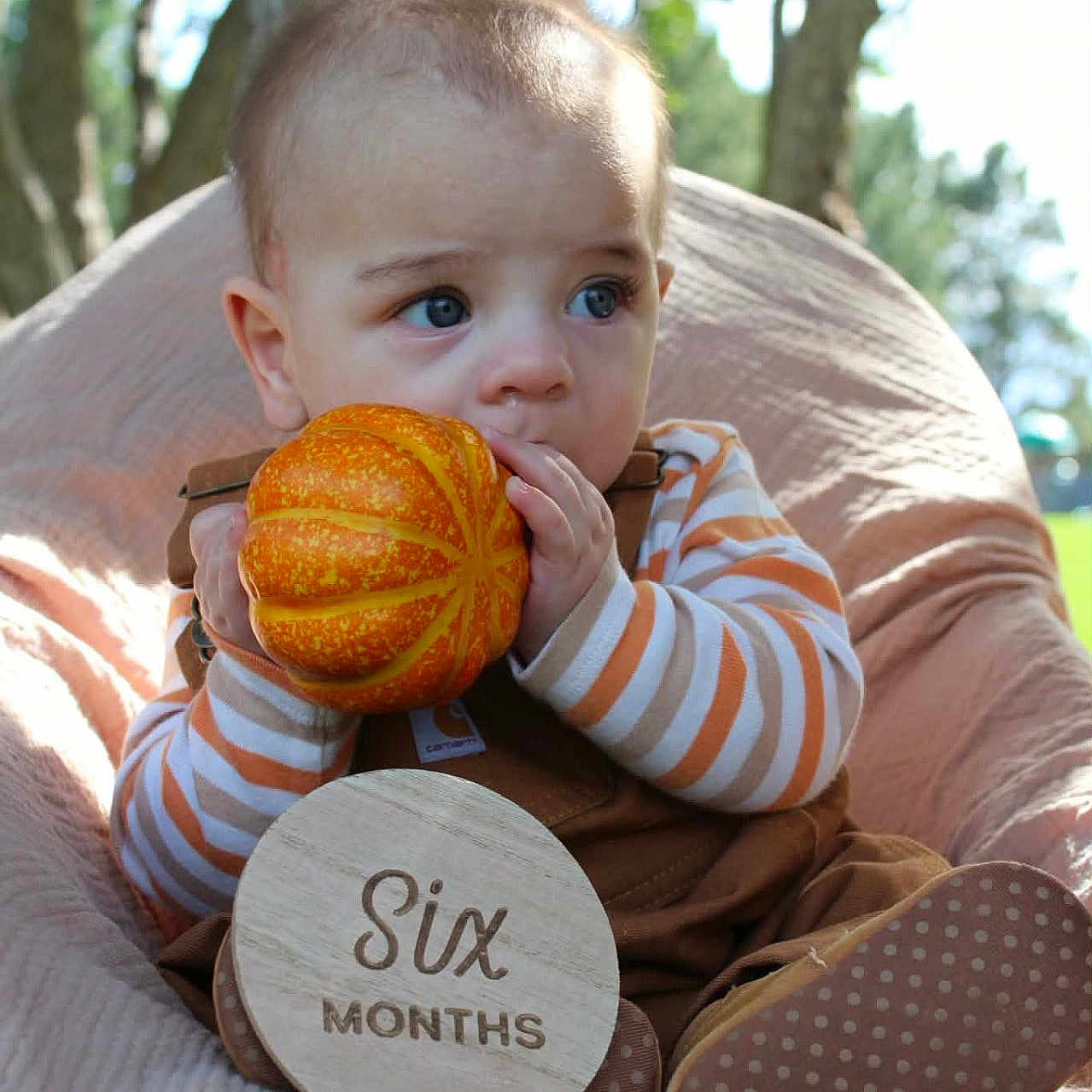 Asher joined the competition — help win amazing prizes! baby, infant, child, six_months, pumpkin, orange_pumpkin, outdoor, portrait, sitting, cushion, chair, striped_clothing, brown_clothing, blue_eyes, blond_hair, smiling, hands, wooden_sign, milestone, autumn