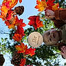 baby, infant, child, six_months, autumn, fall, maple_leaves, orange_leaves, red_leaves, pinecones, milestone_photo, wooden_plaque, sweater, cozy_clothing, outdoor, nature, trees, blue_sky, reflection, portrait