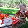 Asher is registered to the contest to win money with this photo: baby, infant, child, six_months, outdoor, park, grass, trees, autumn, autumn_leaves, fall_decor, pinecone, portrait, sitting, brown_sweater, bib, reflection, table, natural_light, milestone_photo