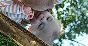 Asher joined the competition — help win amazing prizes! baby, child, infant, face, reflection, mirror, upside_down, outdoor, grass, sky, nature, striped_clothing, brown_clothing, sleeve, hand, portrait, close_up, antique_frame, sunlight, playful