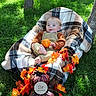 baby, infant, child, six_months, smiling, outdoor, autumn, pumpkin, leaves, blanket, plaid, grass, park, portrait, sitting, infant_clothing, seasonal, fall_decor, happy, nature