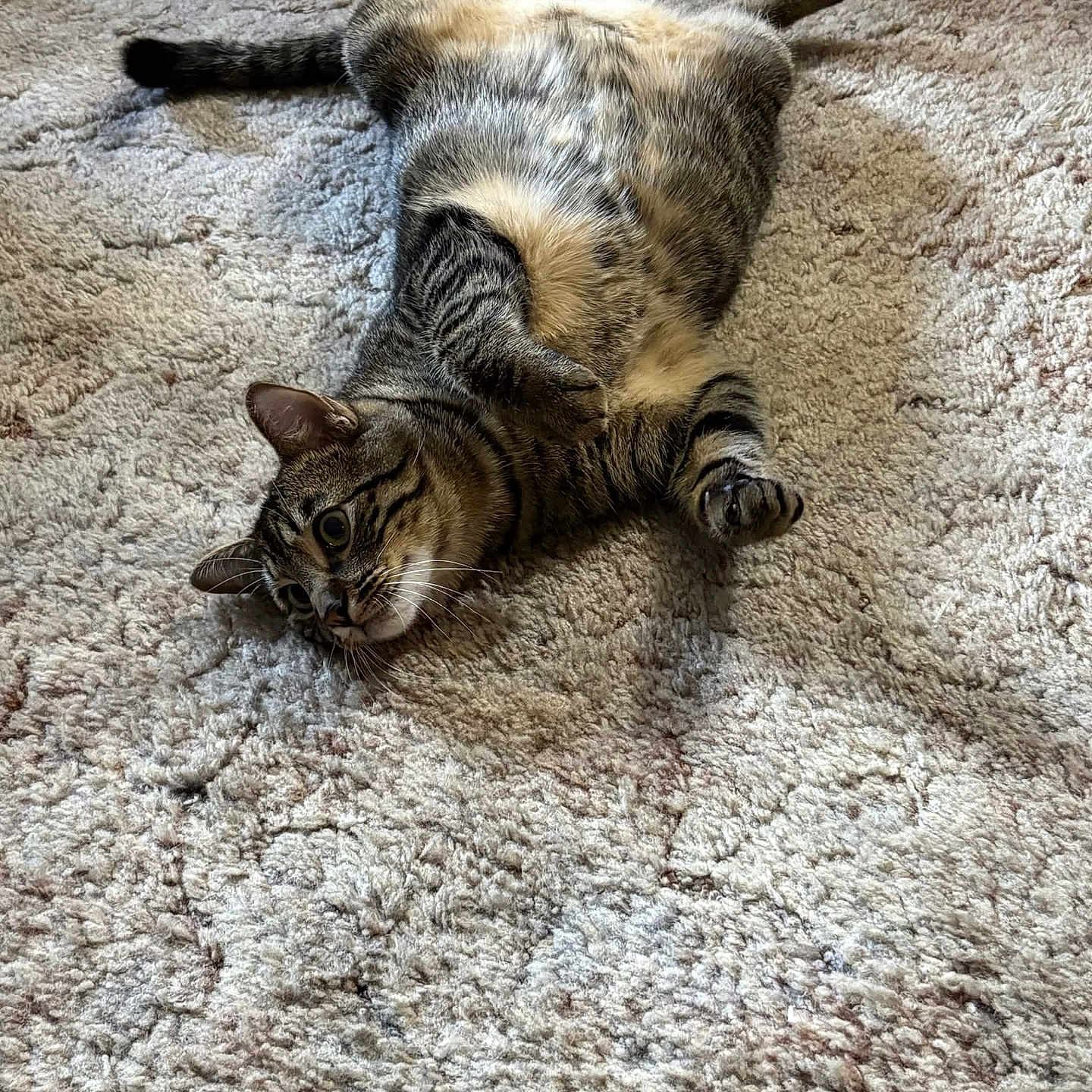 Max