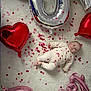 Jonas participe au concours pour gagner de l'argent avec cette photo : baby, infant, heart_balloon, pink_balloon, red_balloon, confetti, white_rug, baby_clothing, cute, lying_down, celebration, indoor, decor, heart_shape, soft_texture, small_child, portrait, adorable, festive, colorful