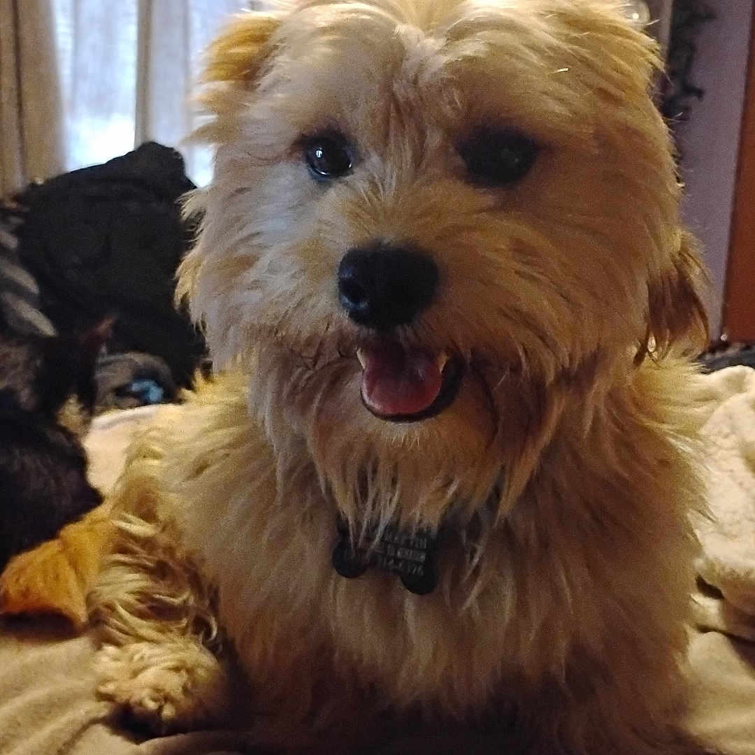 Sammy