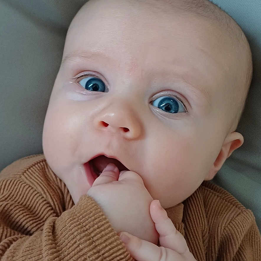 Maël participe au concours pour gagner de l'argent avec cette photo : baby, blue_eyes, brown_clothing, child, close_up, cozy, cute, expression, face, fingers, hand, indoor, infant, person, portrait, ribbed_fabric, sitting, skin, soft_background, young