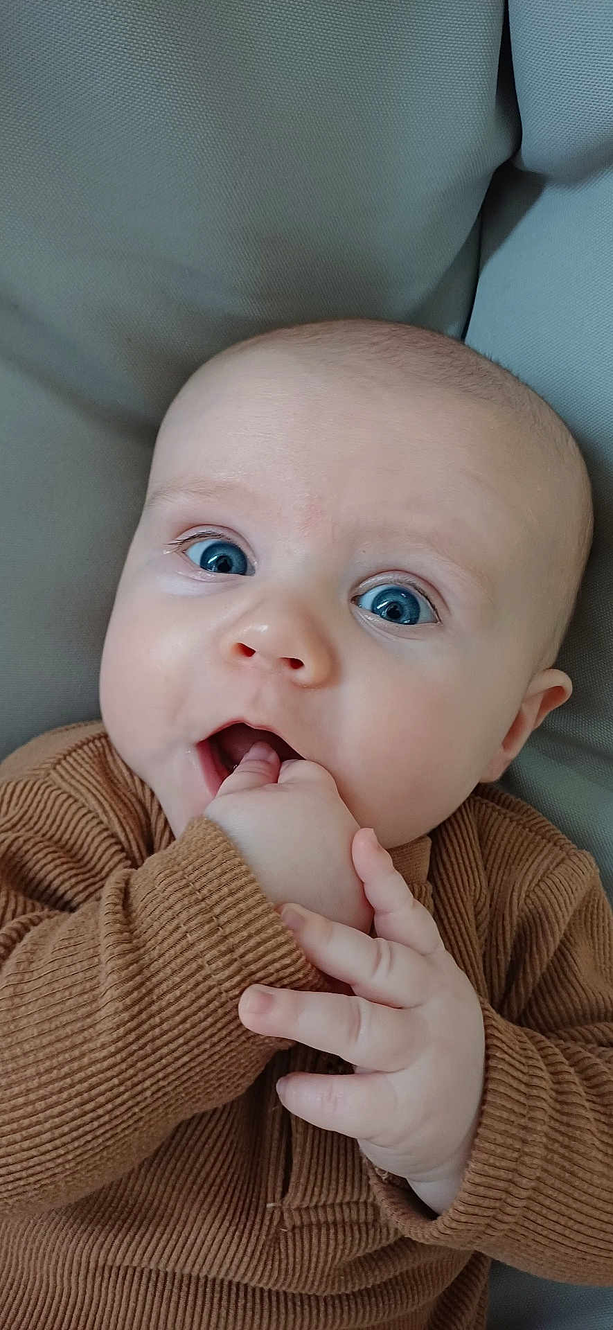 Maël participe au concours pour gagner de l'argent avec cette photo : baby, infant, blue_eyes, hand, fingers, brown_clothing, ribbed_fabric, close_up, face, skin, cute, child, person, portrait, expression, indoor, soft_background, young, sitting, cozy