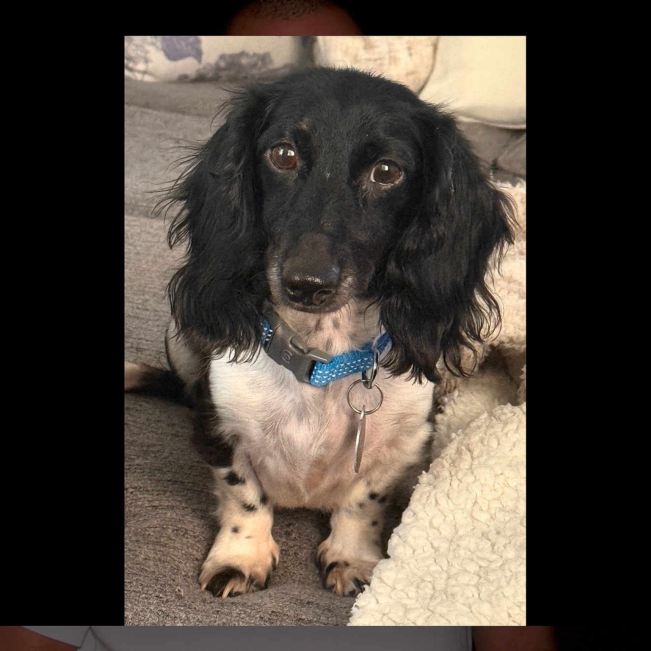 Nash