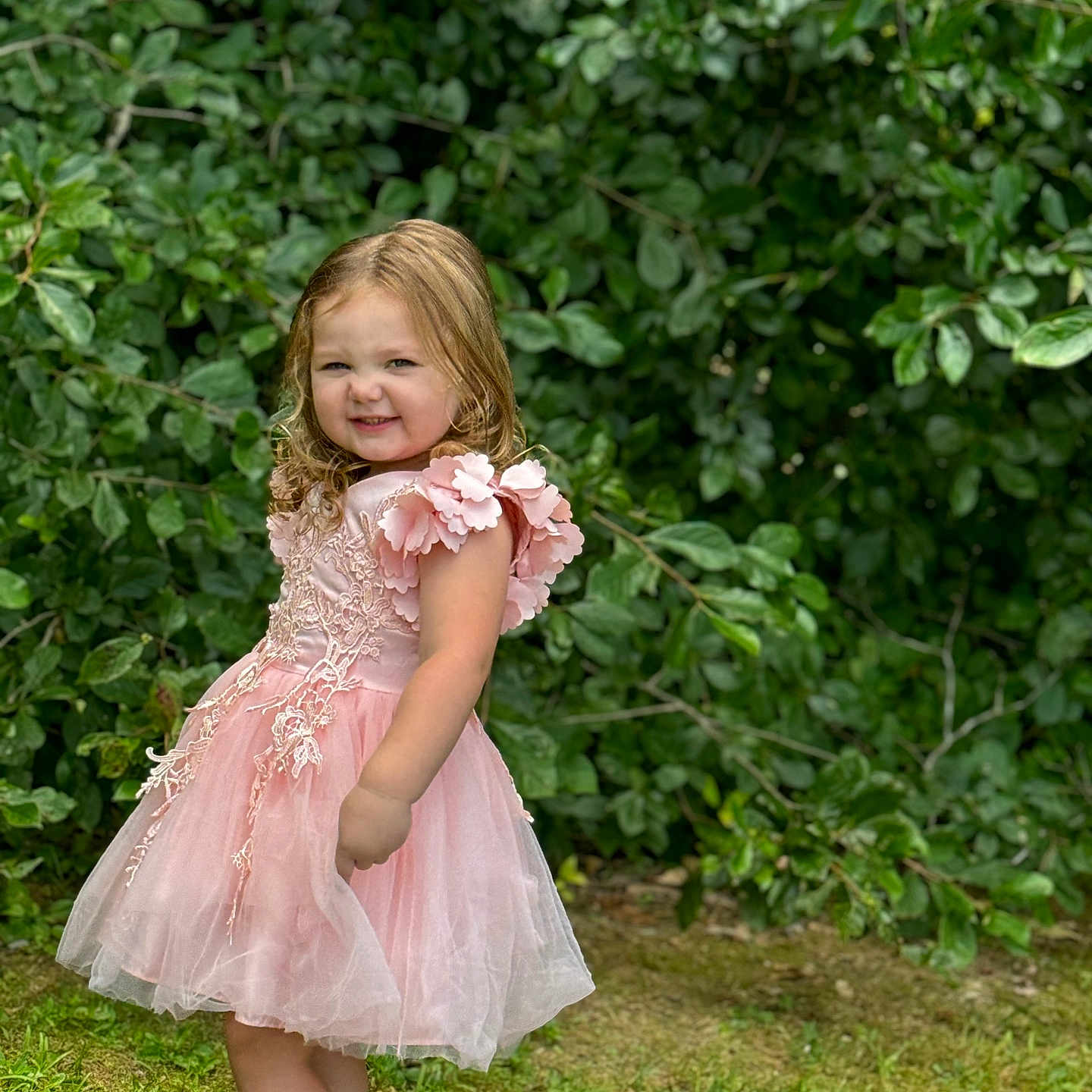 Madeline is registered to the contest to win money with this photo: backyard, child, clothing, dress, face, female, flower, formalwear, girl, grass, head, herbal, herbs, nature, outdoors, person, photography, plant, portrait, sitting