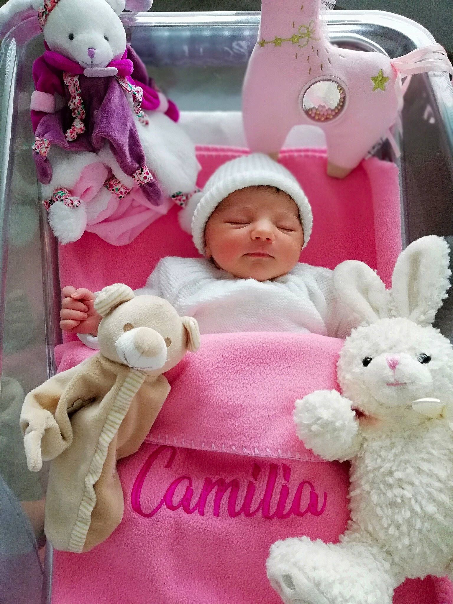 Camilia participe au concours pour gagner de l'argent avec cette photo : baby_toddler_clothing, cheek, comfort, facial_expression, green, happy, headwear, magenta, mammal, person, photograph, pink, plush, skin, snapshot, stuffed_toy, teddy_bear, textile, toy, vertebrate