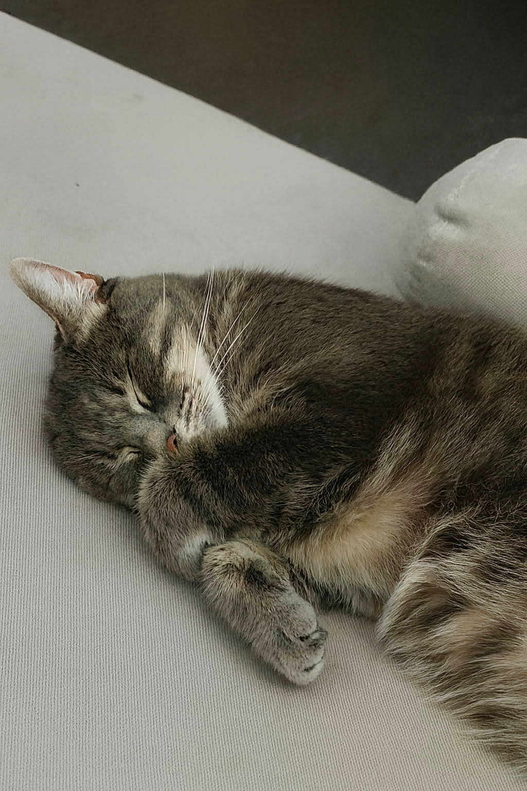 Minette