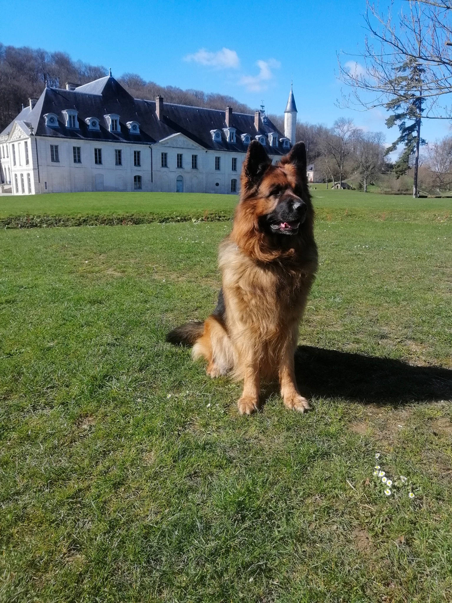 Hoxan
