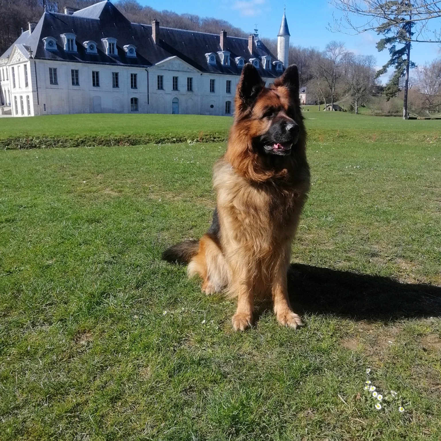 Hoxan