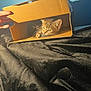 kitten, cat, cardboard_box, hand, black_fabric, indoor, pet, curious, light_shadow, feline, playful, small_animal, domestic_animal, cute, brown_cat, whiskers, paw, cozy, texture, bed